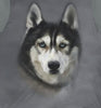 Husky Dog Owner T-Shirt - husky dog print design