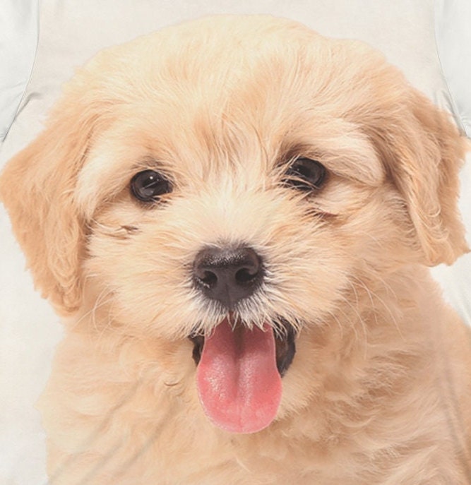 Labradoodle Dog T-Shirt, Labradoodle Owner Shirt, Dog Lover Shirt, Dog Gift, Boy Girl Dog Shirt, Animal Adult Kids T-Shirt Image 2