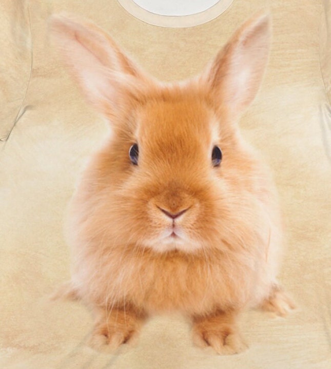 Cute Bunny T-Shirt Bunny Owner Shirt, Cute Rabbit Gift, Boy Girl Bunny Shirt, Animal Adult Kids T-Shirt Image 2