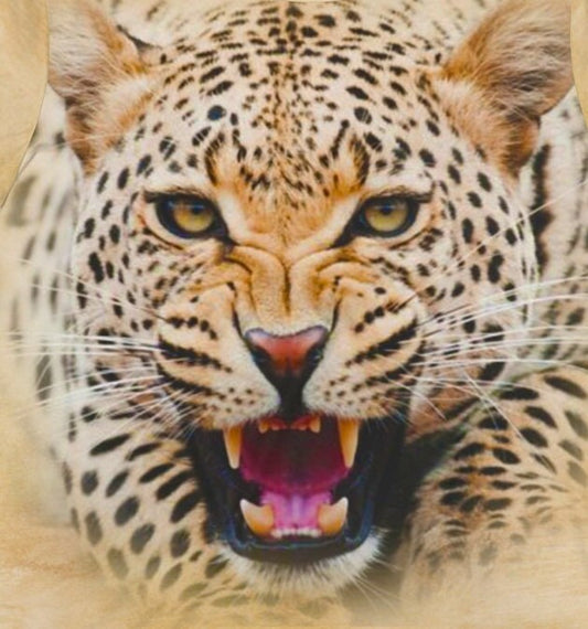 Jaguar T-Shirt - jaguar big cat print design