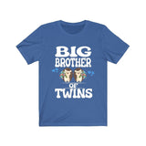 Big Brother Of Twins Hedgehogs Shirt, Big Brother Of Twins Gift, Brother Of Twins Announcement T-Shirt Image 3