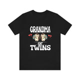 Grandma Of Twins Hedgehogs Shirt, Grandma Of Twins Gift, Grandma Of Twins Announcement Grandmother Gift T-Shirt Image 2