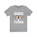 Grandma Of Twins Hedgehogs Shirt, Grandma Of Twins Gift, Grandma Of Twins Announcement Grandmother Gift T-Shirt Image 1